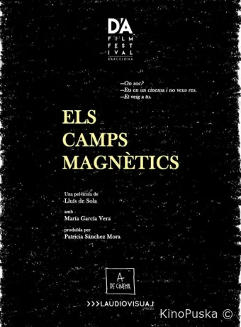 Магнитные поля