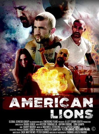 Американские львы