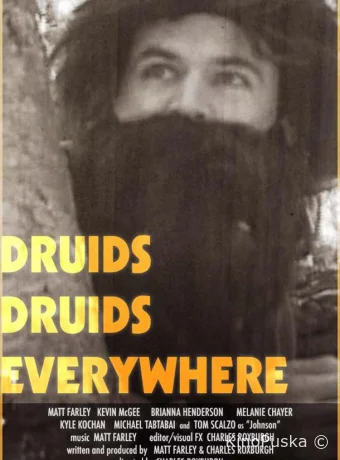 Друиды. Друиды повсюду