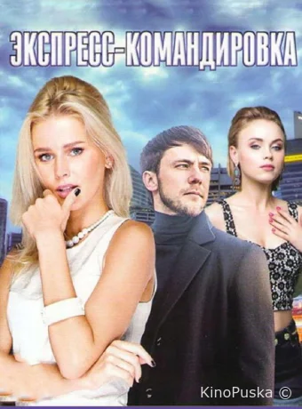 Экспресс-командировка