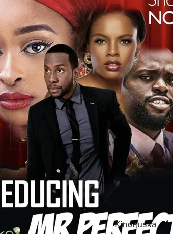 Соблазнить мистера Совершенство