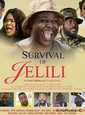 Приключения Джелили