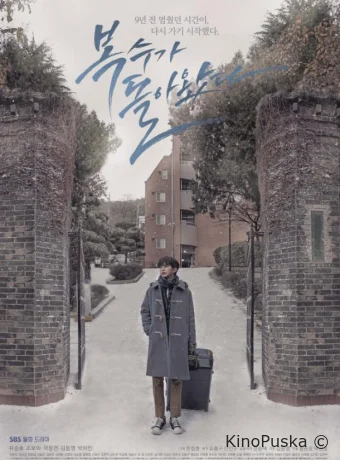 Мой странный герой