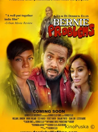 Проблемы Берни