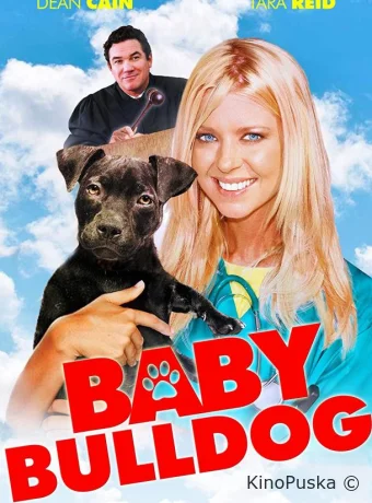 Малыш бульдог