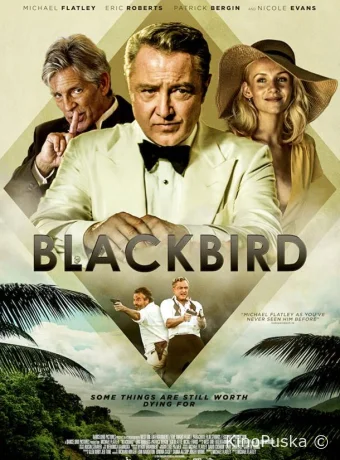 Чёрный дрозд