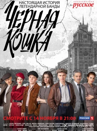 Чёрная кошка