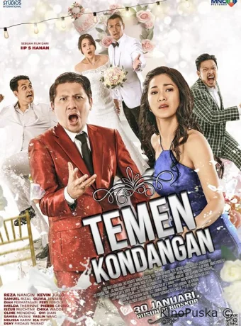 Свадебный партнёр