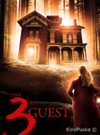 Третий гость