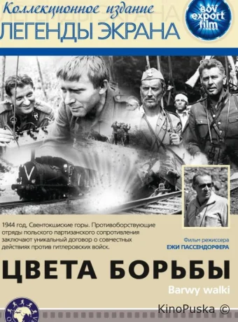 Цвета борьбы