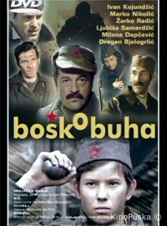 Бошко Буха