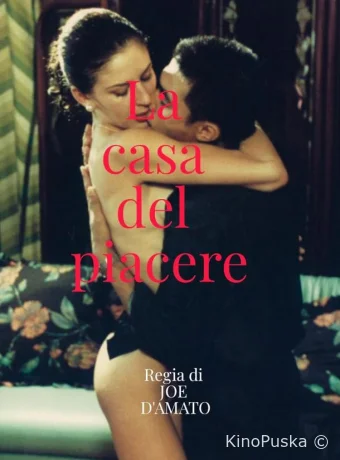 Дом удовольствия