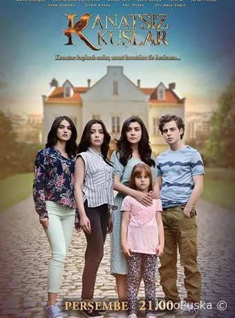 Птицы без крыльев