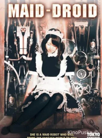 Робо-горничная