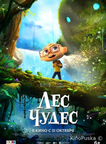Лес чудес