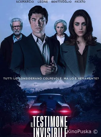 Невидимый свидетель