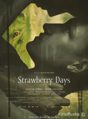 Клубничные поля