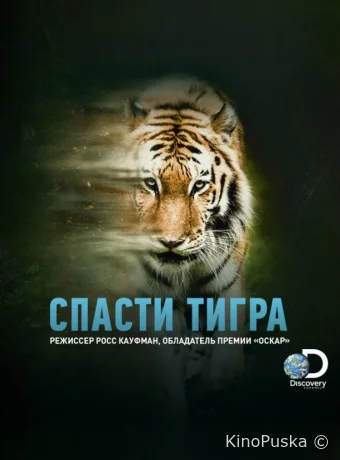 Спасти тигра
