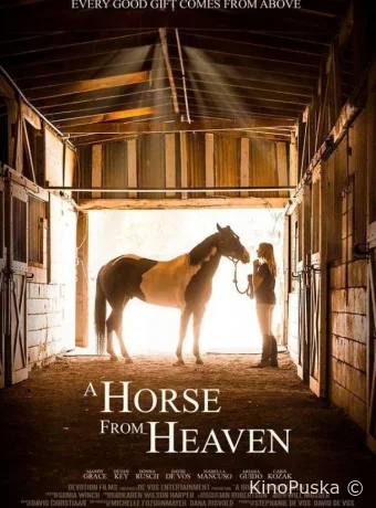 Сердце чемпиона