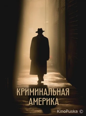 Криминальная Америка