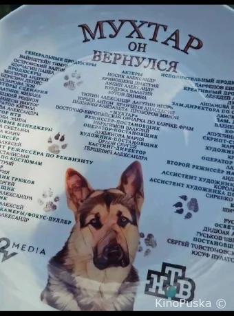 Мухтар. Он вернулся